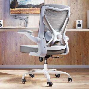 Ergonomic Office Chair with Lumbar Support - Adjustable Computer Desk Chairs for Home Office, Gaming, and Work - Comfortable and Supportive Desk Chairs for Adults(Grey Silver)