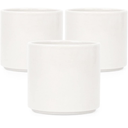 Set of 3 Ceramic Plant Pots, 3" White Modern Cylinder Pot with Drainage Hole for Home Office Decoration