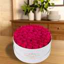 50 Piece Roses in a Velvet Box, Flowers for Delivery, Presereved Flowers Birthday Gifts for Women Mom and Wife (Radiant Pink)