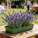 10pcs Flower Mud Fixing Plate, Floral Foam Bowls Rectangle Flower Arrangement Holder Tray Flower Arrangement Base for Table Party Wedding Festival Flower Decor