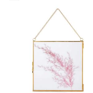 NCYP Double Glass Floating Frame 8" x 8" for Pressed Dried Flowers, Photo, Picture - Modern Indoor Wall Hanging Vertical Decor, Plant Specimen Clip, Gold, Handmade, Glass Frame Only