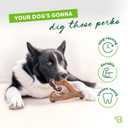 Benebone Wishbone Durable Dog Chew Toy for Aggressive Chewers, Made in USA, Small, Real Bacon Flavor