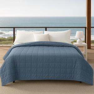 HomeSmart Cooling Weighted Blanket Queen Size 20 lbs, Designed with Hi-Tek Stay Cool Fabric On Both Sides of The Blanket, Machine Washable, Perfect for Couples (Blue Grey | Cooling)