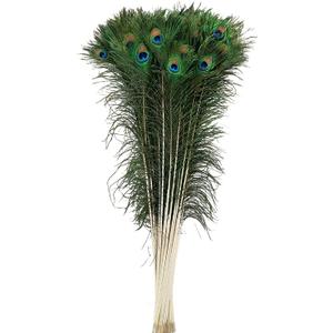 FeatherStore.com Natural Long Peacock Eye Feathers 40-45'' 10pc Wedding Home Decoration DIY Craft by FeatherStore