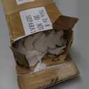 5 Pcs Peel and Stick Ceiling Crown Molding Trim Total 16.4 ft Length 2" Wide Self-Adhesive Crown Molding Polystyrene Foam Ceiling Trim for DIY Wall Home Hotel Indoor Corner Craft Decor