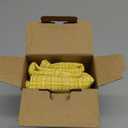 MIULEE Outdoor Waterproof Throw Pillow Covers Decorative Farmhouse Water Resistant Cushion Covers for Tent Patio Garden Couch Sofa Pack of 2, 16x16 Inch Yellow