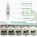 GYTF Halo Plant Grow Light, 6000K White LED Full Spectrum Growing Lamp for Indoor Plants, Succulents, Mini Bonsai, Small Plants, Height Adjustable, Dimmable & Timer 4/8/12/18Hrs