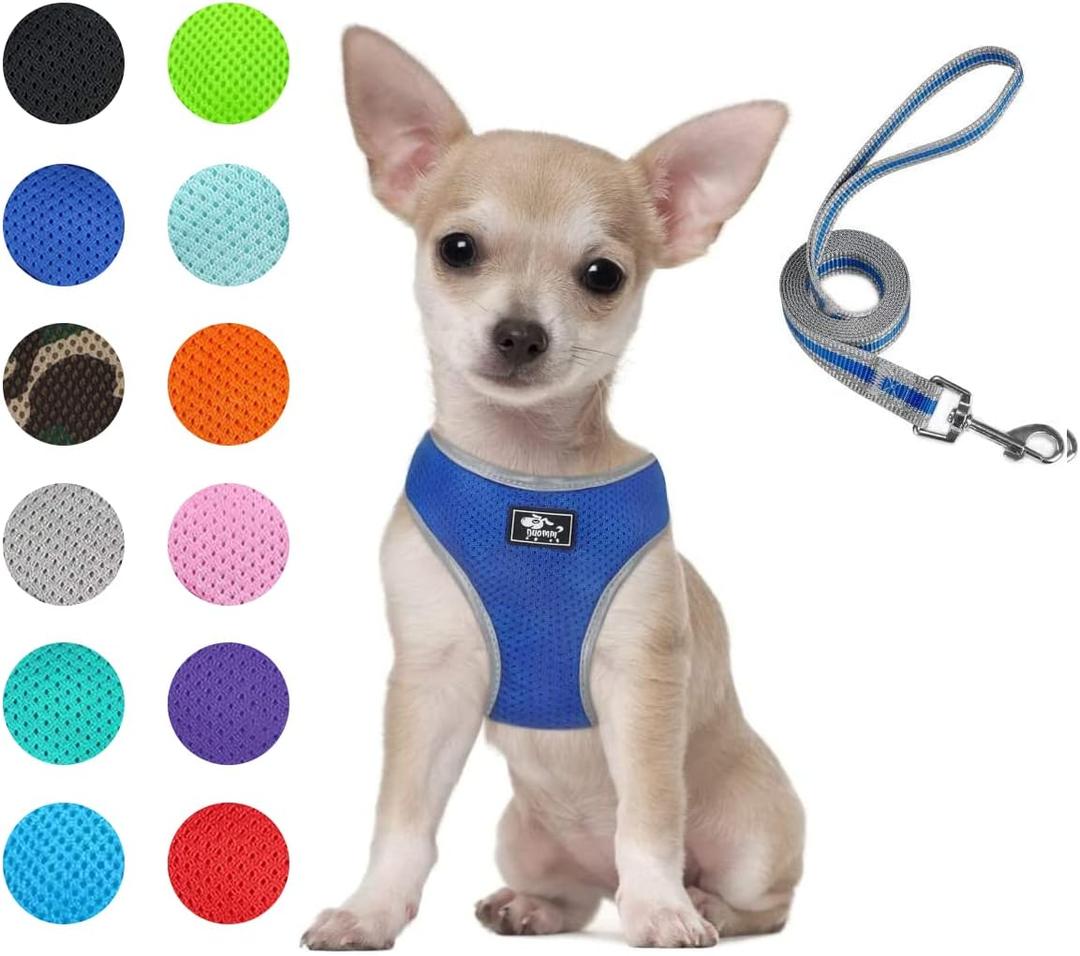 Puppy Harness and Leash Set- XS and Small Dog Harness- Soft Mesh Halter- Adjustable Reflective Teacup Dog Harness- No Pull No Choke (XS, Blue)
