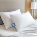 Hypoallergenic Viscose from Bamboo Soft Pillows with Down Alternative Filling, Queen Size set of 2, Breathable, Moisture-Wicking, Luxury Hotel Quality, Ideal for All Sleeper, Oeko-Tex Certified