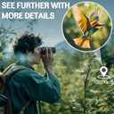 15x25 HD Binoculars for Adults Kids: Wozel Durable & Clear Binoculars Easy Focus