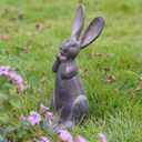 DiliComing Bunny Decor Resin Animals Statue - Garden Decorations Garden Decor for Outside Cute Cheeky Bunny Figurine Statues for Home Decor Outdoor Decor for Porch 5  4  11 Inch (Brown)