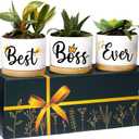 Rosa Vila Boss Planters, Best Boss Ever Gifts, Boss Lady Gift for Women, Cool Presents for Her, Appreciation Gift for Women, Ideal for Birthday, Ready