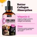 Premium Collagen for Dogs & Cats  5 Types of Grass-Fed Collagen (I, II, III, V & X), Fast Allergy & Itch Relief Dog Colgeno with MSM, Biotin & Hyaluronic Acid  Supports Healthy Skin & Joints 120ml