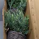 Outdoor Fake Hanging Fern Artificial Hanging Ferns 2 Pack, Large Faux Boston Fern Bushes, UV Resistant Outdoor Hanging Plants for Front Porch, Patio & Indoor Decor