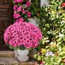 5 Pcs Faux Geranium Flowers for Outdoor Decor Rose Red