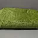 NEWCOSPLAY Super Soft Queen Blanket Green Premium Silky Flannel Fleece Leaves Pattern Lightweight Bed Blanket All Season Use (Green, Queen(90"x90"))