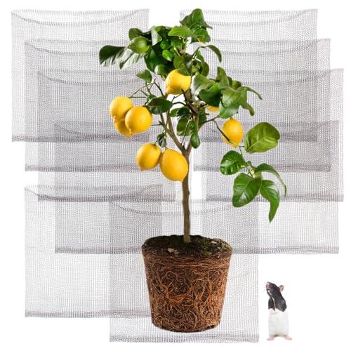 Amazon.com : Foyego 10 Pcs 5 Gallon Root Guard Baskets for Plants, Underground Stainless Steel Wire Mesh Cages Gopher and Vole Wire Basket Protect The Roots of Large Plants : Patio, Lawn & Garden