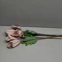 Vickerman 22" Rose Gold Velvet Glitter Trim Poinsettia, 6 per Bag.