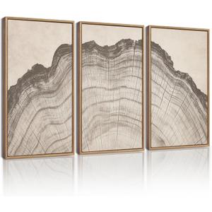 KUVIOKE Boho Vintage Antique Tree Wall Art Framed Neutral Retro Tree Rings Wood Prints Rustic Nature Illustrations Bedroom Living Room 16x24in (Natural Framed) (24L" x 16W" x 3 Panels Natural)