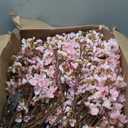3 PCS Cherry Blossom Branches Artificial Flowers for Spring Indoor Decoration, Faux Plum Blossom 33" Long Stem Silk Flowers for DIY Home Office Wedding Garden Floral Arrangements, Light Pink (A-light Pink)
