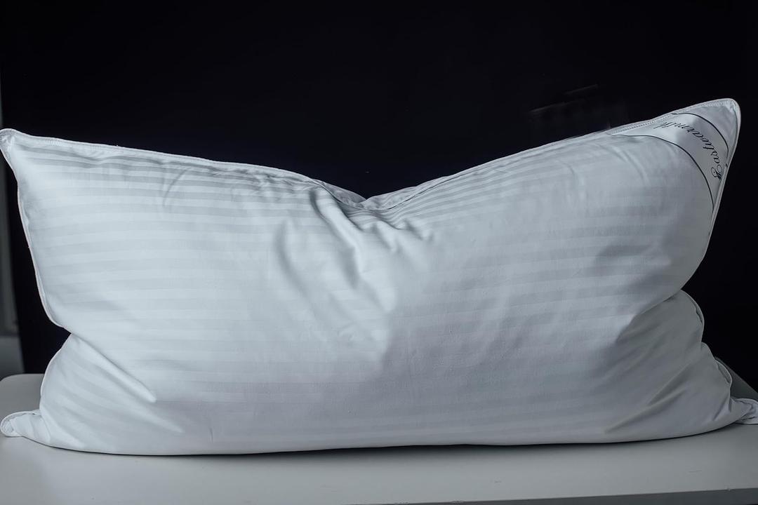 Goose Down Feather Soft Pillows One Pillow 100% Cotton Supportive Bed Pillow Stripe White Color King Size 20x36 inch (King (Pack of 1))