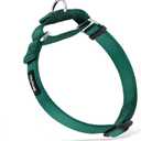 Hyhug Martingale Dog Collar Medium Green |Escape - Proof Heavy Duty Nylon Durable No Slip, Ideal for Training & Daily Walks