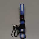 Vizpet LED Dog Collar, Light Up Dog Collar Adjustable USB Rechargeable Super Bright Safety Light Glowing Collars for Dog(Large,Blue) (Large[18.89-23.62 inch])