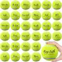Soulchen 48 Pack Pressureless Tennis Balls Inspirational Training Tennis Balls Bulk Coach Beginner Practice Supplies Pet Dog Toys Indoor Outdoor