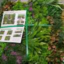Artificial Greenery Grass Wall Panels,40'' x 40'' in(11.5 sqft)