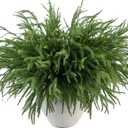 MISSPIN 12 Pcs 21.5 Inches Christmas Norfolk Pine Branches, Norfolk Pine Artificial Christmas Branches DIY Crafts Faux Pine Branches for Xmas Indoor Outdoor Home Decor