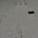 Dickies Men's Painters Bib Overall (34W x 30L, White)