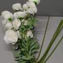 6 Pack Artificial Ranunculus Flowers, 28" Long Stem Faux Silk Blooms with Leaves, Realistic 42 Heads Fake Ranunculus for Tall Vase, Wedding DIY Bouquets Home Decor(Cream White)