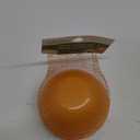 CULINARY ELEMENTS Onion Pod, 1 EA