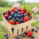 9 Pieces Wooden Berry Basket Bulk 4 x 4 x 2.6 Inch One Pint Square Small Wooden Picking Boxes Vented Gift Baskets for Food Storage Spring Party Decorations Baby Shower