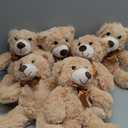 MorisMos 6 Packs Teddy Bears Bulk Stuffed Animals, 14in Small Teddy Bear Plush, Cute Stuffed Bears for Centerpiece Baby Shower Valentines Wedding Birthday, Light Brown