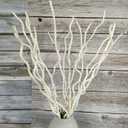 21-23 Inch Dried Natural Curly Willow Branch 15 Pcs Decorative Twisted White Sticks, 3 Pieces Mini Real Gourds for Home Decor (thick)