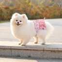 Reusable Dog Diapers Washable (3 Pack), Puppy Diapers Highly Absorbent for Heat & Urination Issues, XS