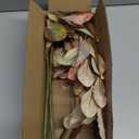 3PCS Artificial Greenery Stems 31.5 Inch Fall Faux Branches for Vase Fake Pittosporum Tobira Leaves Branches Long Stems Plants Leaf Bushes for DIY Floral Arrangement Bouquets Party Home Decor Yellow