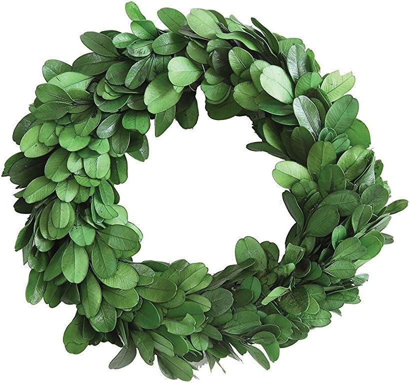 Preserved Boxwood Wreath (6")