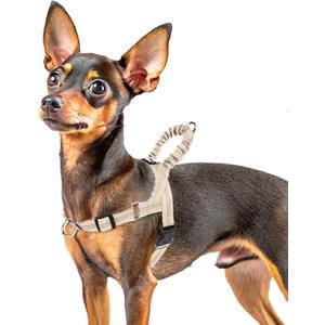PUPTECK No Pull Dog Harness Small Sized Dog, Adjustable Reflective Pet Vest Harness with Bungee Handle, Escape Proof No Choke Harness for Small Dogs Walking Training, Beige XS (XS (NECK: 12"-15", CHEST: 14.5"-18.5"))