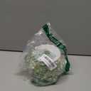 Xmada Pearl Strands, 14 mm Large Pearls Garland Faux Crystal Beads Garland Spool Roll for Crafts,Wedding Decorations,Christmas Tree Decorations (Ivory)