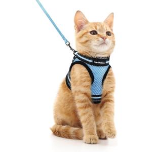 Rabbitgoo Cat Harness and Leash Set for Walking Escape Proof, Adjustable Soft Kittens Vest with Reflective Strip for Cats, Comfortable Outdoor Vest, Light Blue, Medium