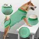 Dog Recovery Suit, After Surgery Wear for Pets Male Female, Professional Dog Onesie for Surgery for Abdominal Wounds Recovery Shirt, Substitute E-Collar & Cone X-Large (Green, XL)