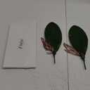 Fnize Faux Orchid Leaves Artificial Phalaenopsis Leaf Bulk 10 Inches 2pcs Real Touch Latex Cymbidium Stems Green Plant