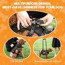 BENCMATE Dog Harness, Dog Lift Harness, Multipurpose Designed Harness with Reflective Strips, Dog Rehabilitation Lifts Vest for Old, Disabled, Joint Injuries, Arthritis, Paralysis Dogs(XXLarge)