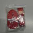 Lionet Paws Silk Collar and Leash Set, Adjustable Comfortable Red Collar with Metal Buckle for Small to Large Dogs, Neck 16-24 Inches