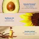 Mustela Stelatopia Eczema-Prone Skin Emollient Baby Face Cream - Face Moisturizer with Natural Avocado & Sunflower Oil - Fragrance-Free - 1.35 Fl Oz (Pack of 1)