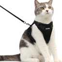 Dooradar Cat Harness and Leash Set, Escape Proof Safe Adjustable Kitten Vest Harnesses for Walking, Easy Control Soft Breathable Mesh Jacket with Reflective Strips for Cats, Black, M