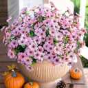 HyeFlora Artificial Flowers for Outdoor Indoor Garden Home Decoration, Faux Flower Daisy with Eucalyptus Leaves Fake Plants Greenery Boxwood Porch Patio, 12 Bundles (Pink)
