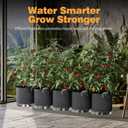 Patigrow Self-Watering Grow Bags, 5-Pack 3 Gallon 420G Thick Nonwoven Fabric Pots with Reinforced Handles and Multi-Purpose Rings, for Low Stress Plant Training Fruits, Vegetables,and Flowers